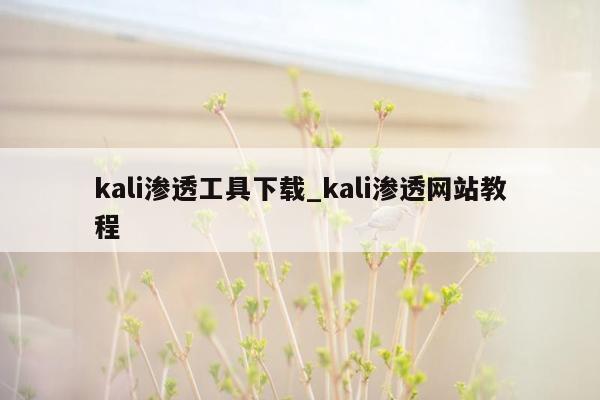 kali渗透工具下载_kali渗透网站教程