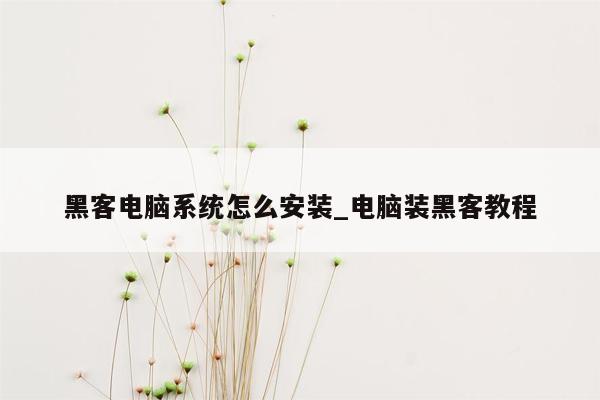 黑客电脑系统怎么安装_电脑装黑客教程