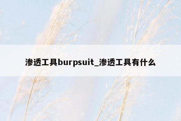 渗透工具burpsuit_渗透工具有什么