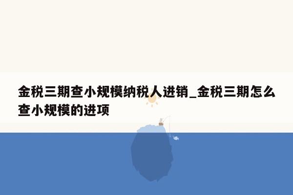 金税三期查小规模纳税人进销_金税三期怎么查小规模的进项