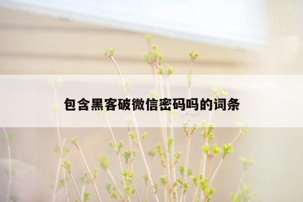 包含黑客破微信密码吗的词条