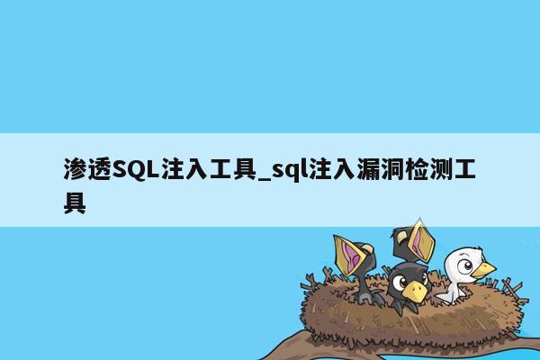 渗透SQL注入工具_sql注入漏洞检测工具