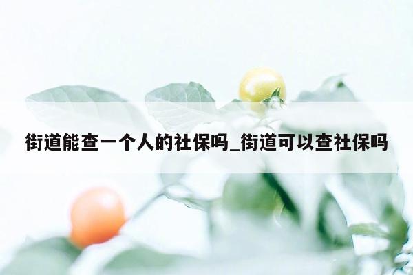 街道能查一个人的社保吗_街道可以查社保吗