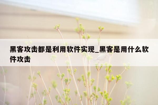 黑客攻击都是利用软件实现_黑客是用什么软件攻击