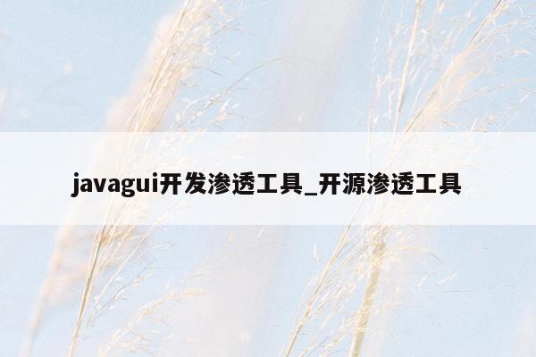 javagui开发渗透工具_开源渗透工具