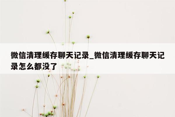 微信清理缓存聊天记录_微信清理缓存聊天记录怎么都没了