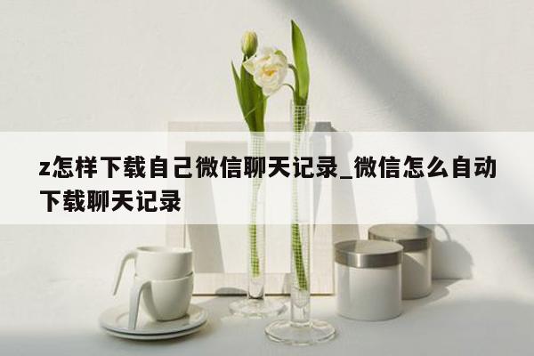 z怎样下载自己微信聊天记录_微信怎么自动下载聊天记录