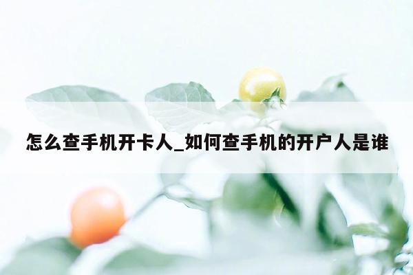 怎么查手机开卡人_如何查手机的开户人是谁