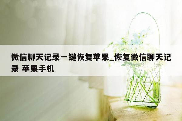 微信聊天记录一键恢复苹果_恢复微信聊天记录 苹果手机