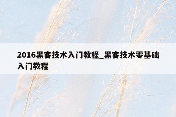 2016黑客技术入门教程_黑客技术零基础入门教程