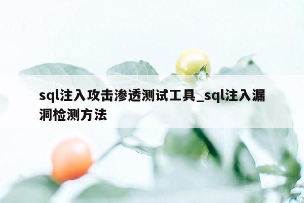 sql注入攻击渗透测试工具_sql注入漏洞检测方法