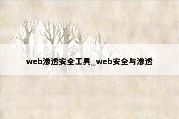 web渗透安全工具_web安全与渗透