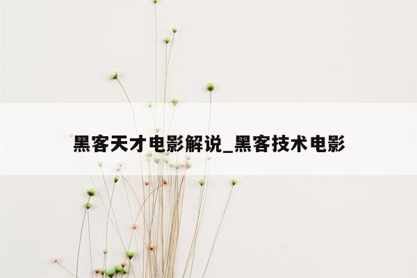 黑客天才电影解说_黑客技术电影