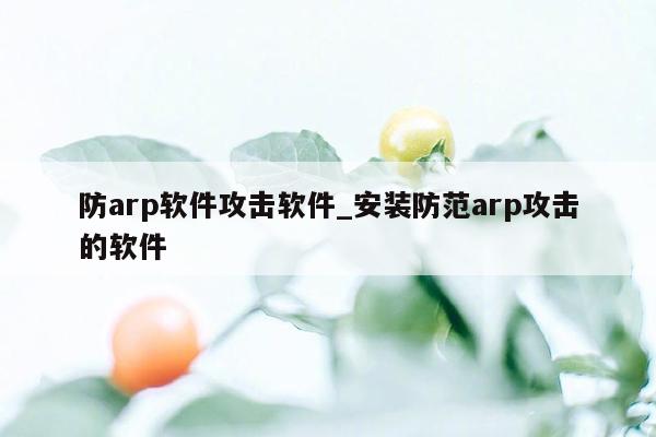 防arp软件攻击软件_安装防范arp攻击的软件