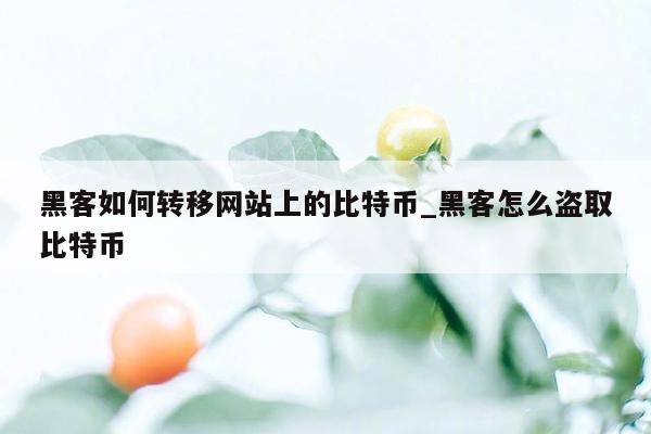 黑客如何转移网站上的比特币_黑客怎么盗取比特币