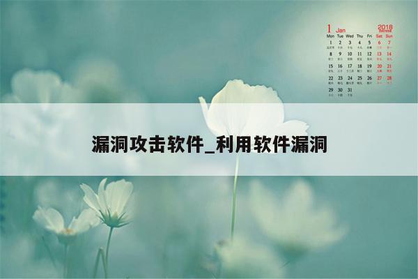 漏洞攻击软件_利用软件漏洞