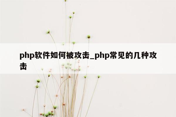 php软件如何被攻击_php常见的几种攻击