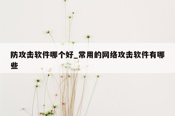 防攻击软件哪个好_常用的网络攻击软件有哪些