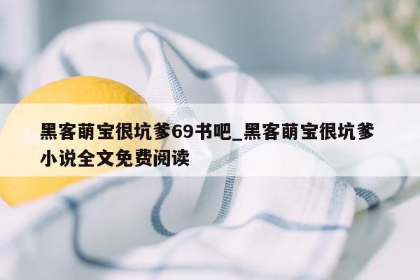 黑客萌宝很坑爹69书吧_黑客萌宝很坑爹 小说全文免费阅读