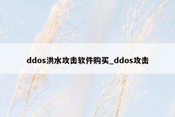 ddos洪水攻击软件购买_ddos攻击