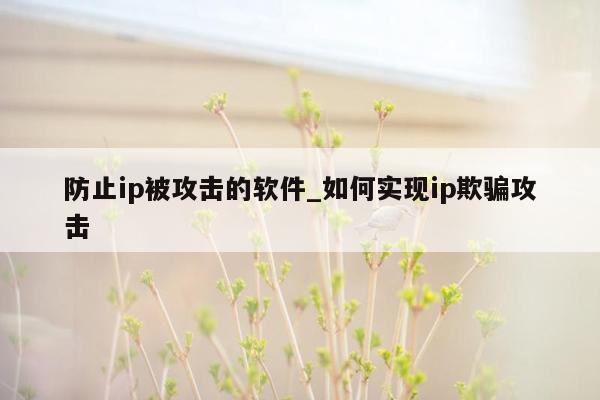 防止ip被攻击的软件_如何实现ip欺骗攻击