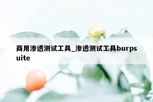 商用渗透测试工具_渗透测试工具burpsuite