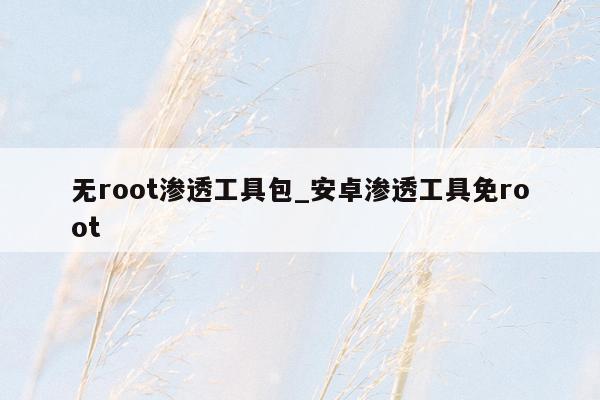 无root渗透工具包_安卓渗透工具免root