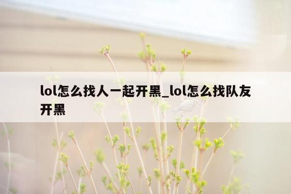 lol怎么找人一起开黑_lol怎么找队友开黑