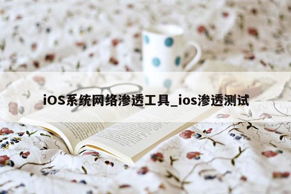 iOS系统网络渗透工具_ios渗透测试