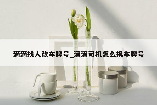 滴滴找人改车牌号_滴滴司机怎么换车牌号