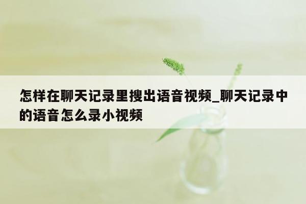 怎样在聊天记录里搜出语音视频_聊天记录中的语音怎么录小视频