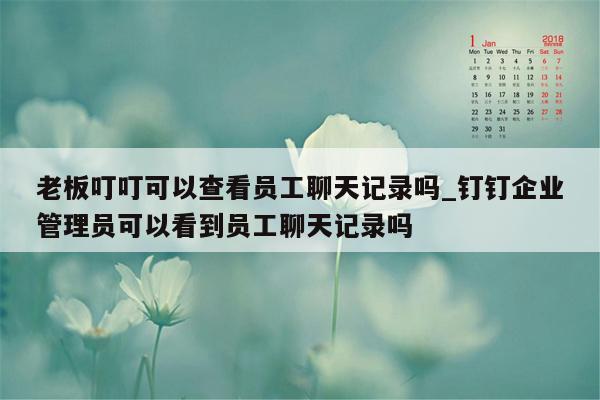 老板叮叮可以查看员工聊天记录吗_钉钉企业管理员可以看到员工聊天记录吗