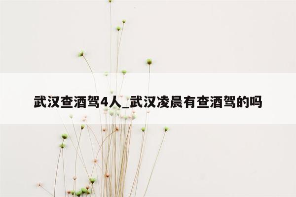 武汉查酒驾4人_武汉凌晨有查酒驾的吗