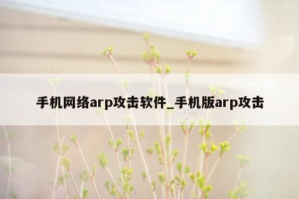 手机网络arp攻击软件_手机版arp攻击