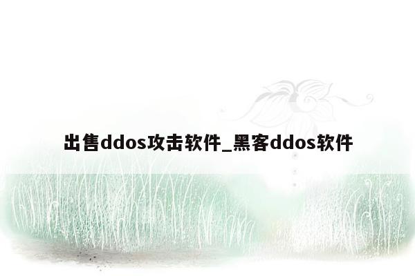 出售ddos攻击软件_黑客ddos软件