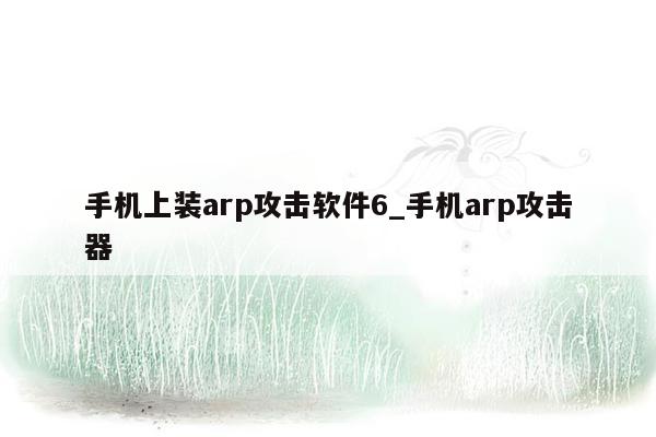 手机上装arp攻击软件6_手机arp攻击器