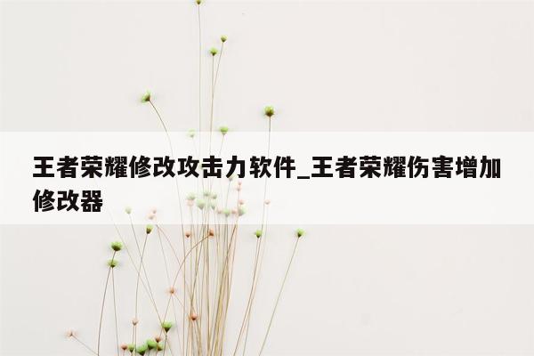 王者荣耀修改攻击力软件_王者荣耀伤害增加修改器