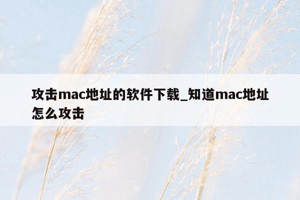 攻击mac地址的软件下载_知道mac地址怎么攻击