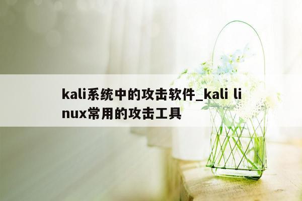 kali系统中的攻击软件_kali linux常用的攻击工具