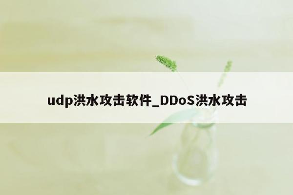 udp洪水攻击软件_DDoS洪水攻击