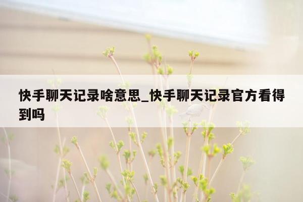 快手聊天记录啥意思_快手聊天记录官方看得到吗