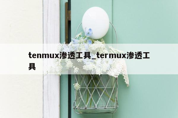 tenmux渗透工具_termux渗透工具