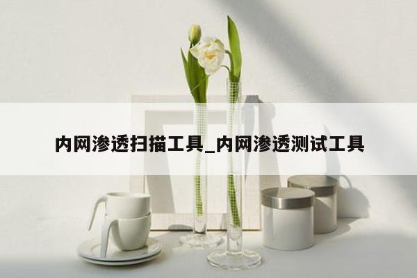 内网渗透扫描工具_内网渗透测试工具