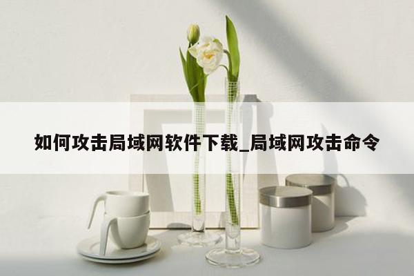 如何攻击局域网软件下载_局域网攻击命令