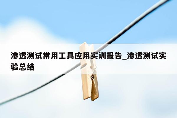 渗透测试常用工具应用实训报告_渗透测试实验总结