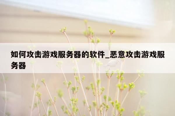 如何攻击游戏服务器的软件_恶意攻击游戏服务器