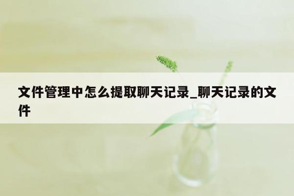 文件管理中怎么提取聊天记录_聊天记录的文件