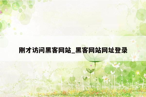 刚才访问黑客网站_黑客网站网址登录