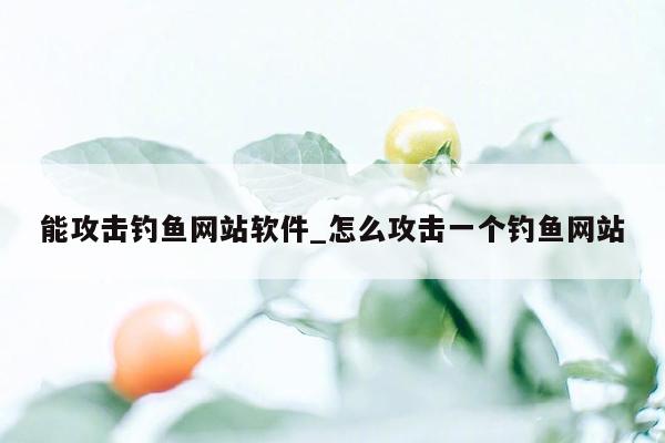 能攻击钓鱼网站软件_怎么攻击一个钓鱼网站