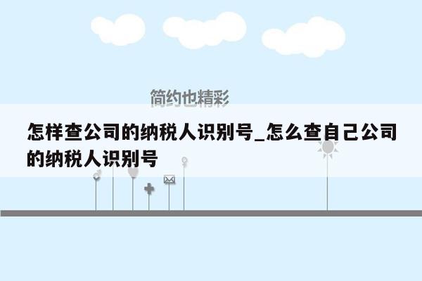 怎样查公司的纳税人识别号_怎么查自己公司的纳税人识别号